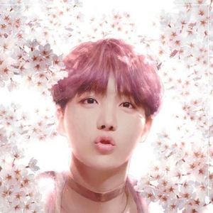 Meet your Posher, Jhope's